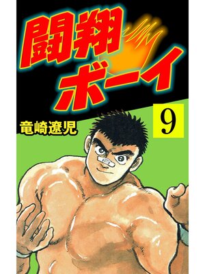 cover image of 闘翔ボーイ　9